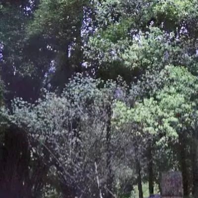 环带实践行丨弘扬朱子文化正当时，践行朱子之路在脚下